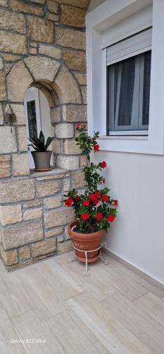 Gallery image of Myrovolos luxury Eneida's house in Ialyssos