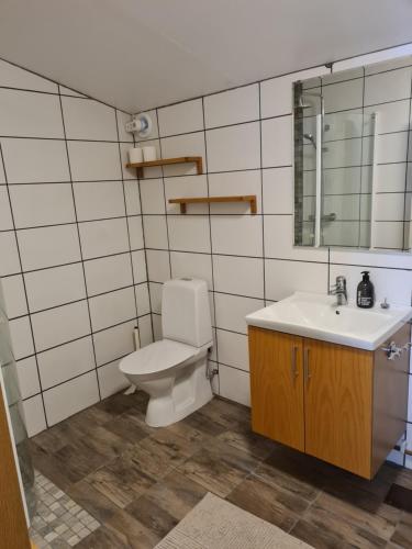 a bathroom with a toilet and a sink at Lgh centralt i Ystad in Ystad