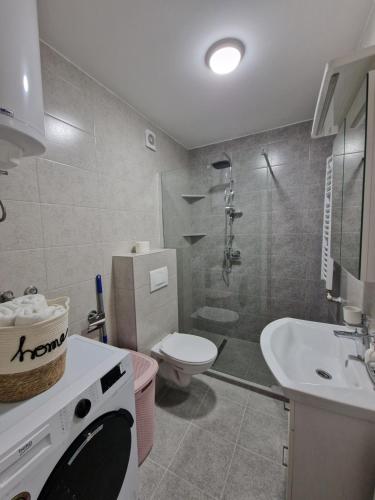 ein Bad mit einem WC, einem Waschbecken und einer Dusche in der Unterkunft Apartman Juba in Lukavica