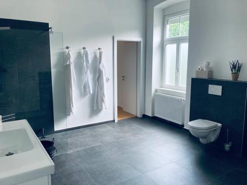 a bathroom with a sink and a toilet and a window at Villa Schönfeld in Schönfeld
