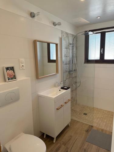 une salle de bain avec une douche, des toilettes et un lavabo dans l'établissement Chambre provençale, à Arles