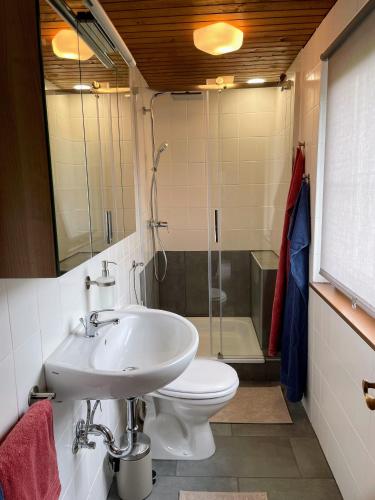 ein Badezimmer mit Waschbecken, Toilette und Dusche in der Unterkunft Ferienwohnung Lisal in Mutters
