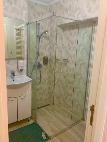 a bathroom with a shower and a sink at Apartament Carolina Parc in Alba Iulia