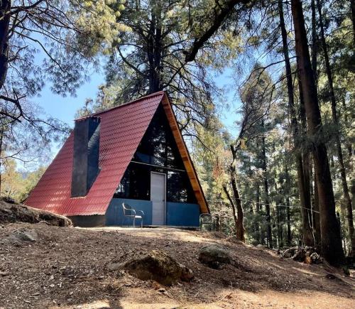 a house with a red roof in the woods at Portocielo Cabin in La Marquesa