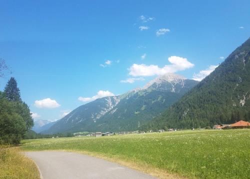 a road in a field with mountains in the background at Ferienwohnung Pohl in Bach