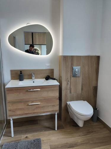 une salle de bain avec un lavabo, des toilettes et un miroir dans l'établissement Studio neuf proche centre-ville, à Pabu