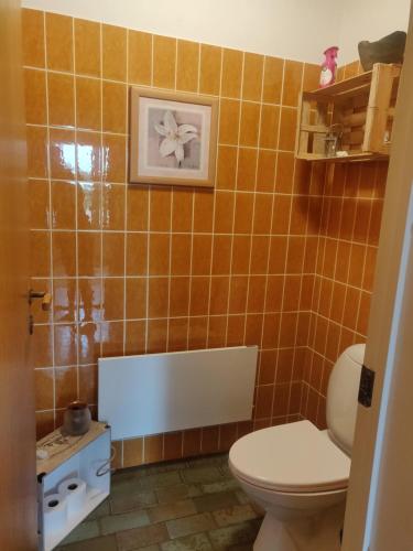 a bathroom with a toilet and a tile wall at Ferielejlighed Rubjerg Præstegård in Løkken