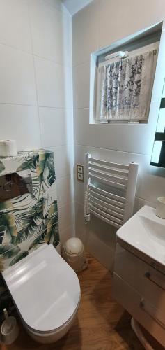 a bathroom with a white toilet and a sink at Domki letniskowe "U Adaska" in Chałupy