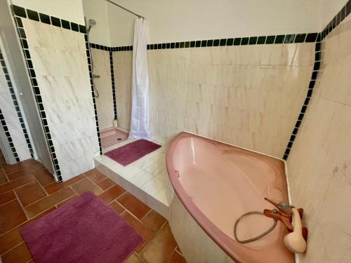 bagno con vasca e doccia con tappetini viola di Notre Dame des Anges DUPLEX a Rustrel