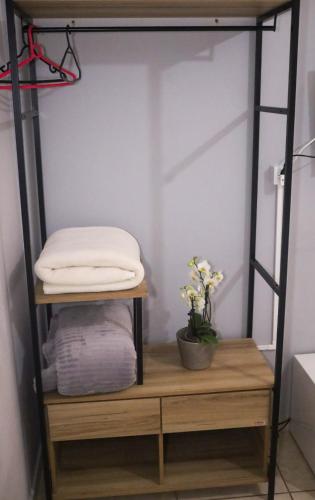 a shelf in a room with towels and a plant at Shellter Hotel in Holambra