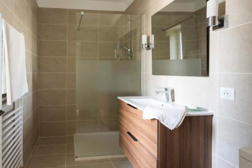 La salle de bains est pourvue d'un lavabo et d'une douche. dans l'établissement maison entière de village Fontvieille avec piscine, à Fontvieille
