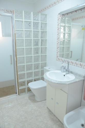 ein Badezimmer mit einem Waschbecken, einem WC und einem Spiegel in der Unterkunft Apartamento 700 metros de la playa in Playa Flamenca