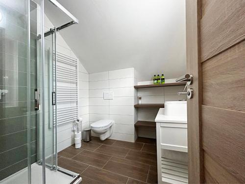 a bathroom with a toilet and a glass shower at Apartmán Na vinařské stezce in Velké Bílovice