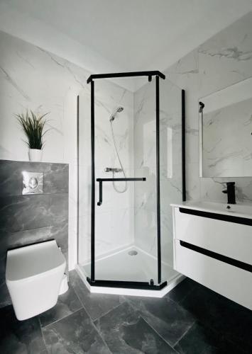 a bathroom with a shower and a toilet and a sink at Domki Black Pearl Mielno basen sauna jacuzzi in Mielno