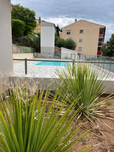 - une vue sur la piscine et quelques plantes dans l'établissement L'écrin des Oliviers, à Grasse