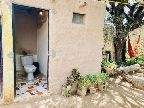 ein Badezimmer mit WC und einigen Topfpflanzen in der Unterkunft Estación de sueños Casa de Silvia in San Rafael de las Torres