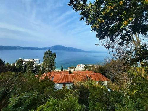 una casa con techo rojo junto al agua en Ramo's Hilltop Retreat with Kitchenette and Patio - 1st en Vlorë