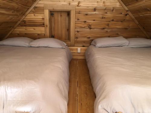 two beds in a room with wooden walls at Mini Moo-light Cabin in Clearwater