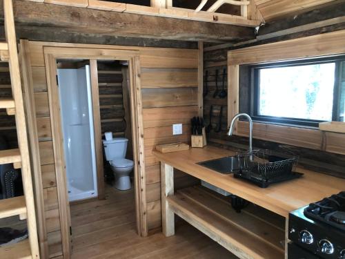 a kitchen with a sink in a tiny house at Mini Moo-light Cabin in Clearwater