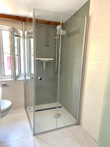 a shower with a glass door in a bathroom at Horami Villa - HANAMI Apartment in Malchow