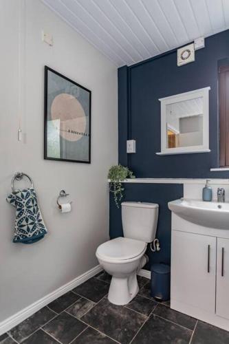 a blue and white bathroom with a toilet and a sink at Templepatrick family home beside the Rabbit hotel in Templepatrick