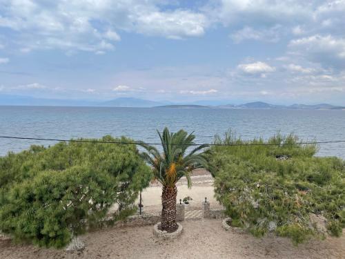 Φυσικό τοπίο κοντά σε αυτό το διαμέρισμα