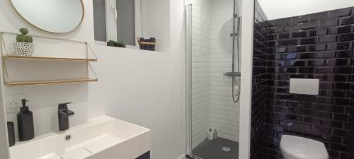 a bathroom with a sink and a mirror and a shower at Studio atypique Immeuble de 1820 in Fumel