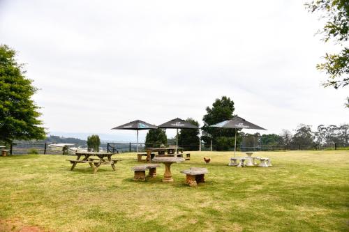 a group of picnic tables and umbrellas in a field at The Knoll Historic Guest Farm in Hilton