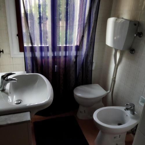 a bathroom with a sink and a toilet and a shower curtain at La Cueva in Imola