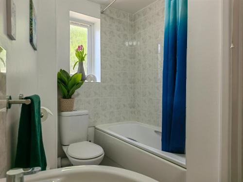a bathroom with a toilet and a tub and a sink at Dove Apartments in Oxford