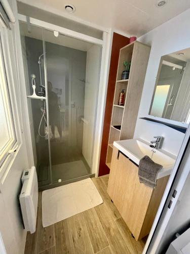 une salle de bain avec douche et lavabo dans l'établissement Tiny house famille nature cap ferret, à Claouey