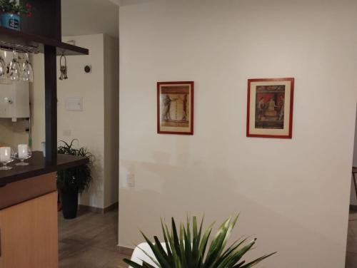 una cocina con dos cuadros en la pared y una planta en Humboldt 2 en Buenos Aires
