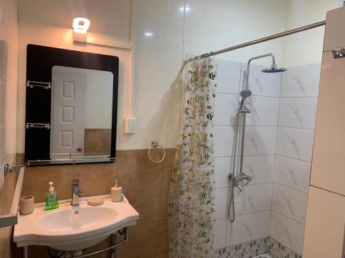 a bathroom with a sink and a shower at Samoa Business Apartments in Apia