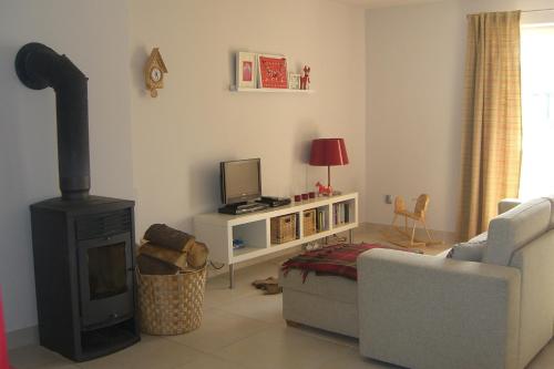 sala de estar con chimenea, sofá y TV en Villa Dorota, en Zakopane