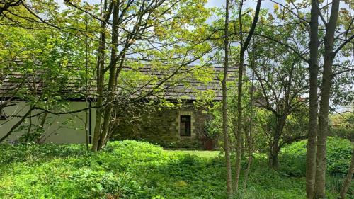 a stone house with a green roof in the woods at Gallery Cottage in Aberdeen