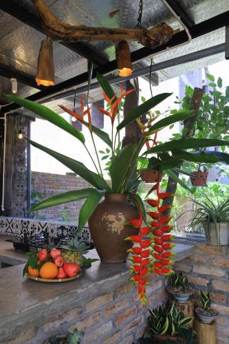 a plant in a pot next to a plate of fruit at Thom's House in Ninh Binh