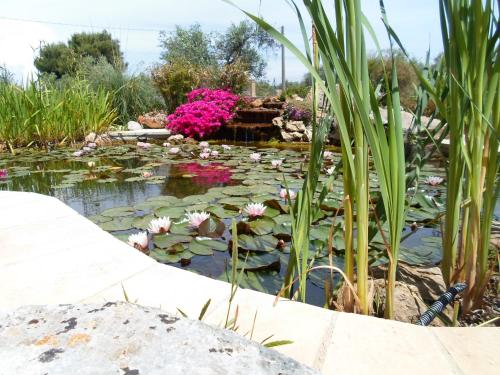 House 3 km from the sea, Walking through the Marina di Leuca