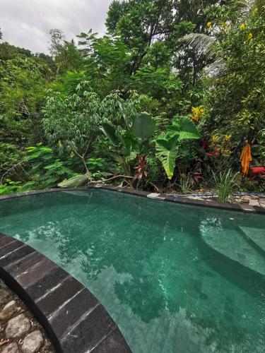 Piscina en o cerca de Les Garden villa