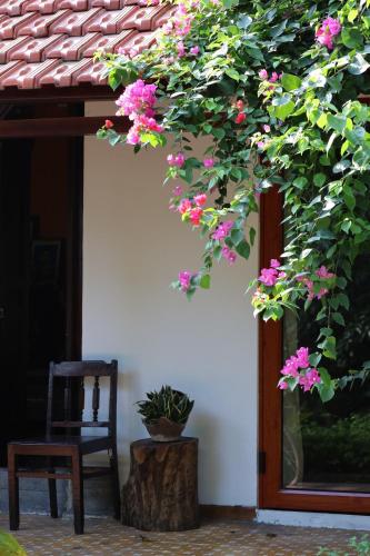 a chair and a tree with pink flowers next to a door at Thom's House in Ninh Binh