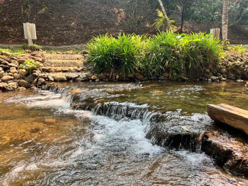 a small waterfall in a river with plants at D.I.N @ทองผาภูมิ in Ban Pracham Mai Bon