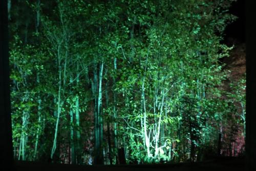 a group of trees in a forest at night at Bettei Fujiya in Miyajima