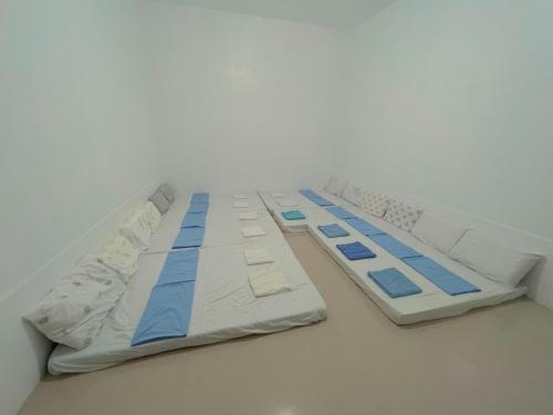 Zia Isabella Backpackers Hostel Room 2