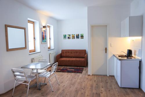 Η κουζίνα ή μικρή κουζίνα στο Apartments Katrca Bežigrad