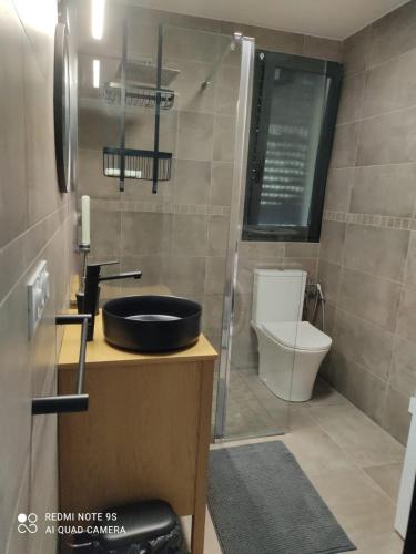 une salle de bain avec un lavabo et des toilettes dans l'établissement T1 bis avec mezzanine, belle terrasse et jardinet., à Moncale