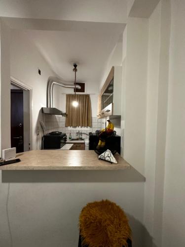Nikolas urban apartment