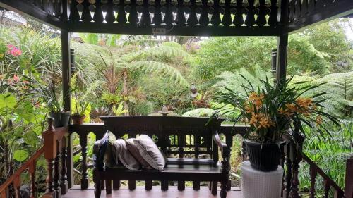 a porch with a bench with pillows and plants at rumah kayu sulawesi antique in Bedugul