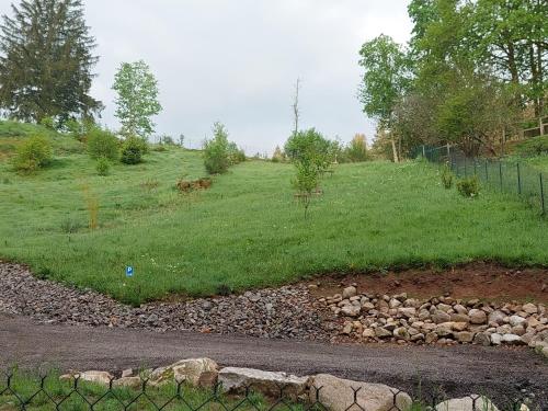 a grassy hill with a fence and a field at Le Refuge perché du saut de la bourrique SPA, terrain clôturé Gérardmer in Gérardmer