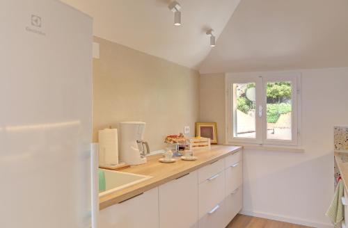 Vicina Summer Apartments