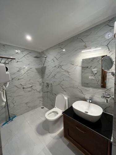 un bagno con lavandino e WC di Hotel Youthok Heritage a Leh