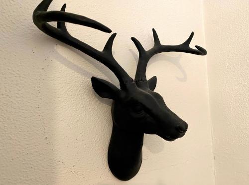 a black deer head hanging on a wall at The Edward Townhouse 157 - Steps to Town in Orange